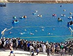 شناگران کابل در مسابقات آب‌بازی بامیان، مقام اول را گرفتند 